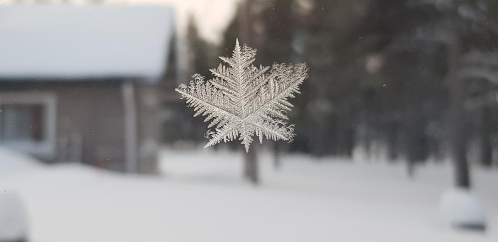 Lumihiutale, kuvaaja Eija Leppänen