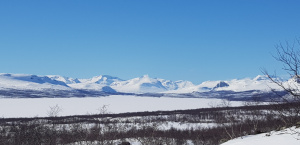 Kevään merkki