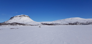 Kevään merkki
