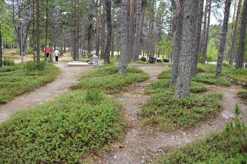 Polkuja metsäisellä hautausmaalla
